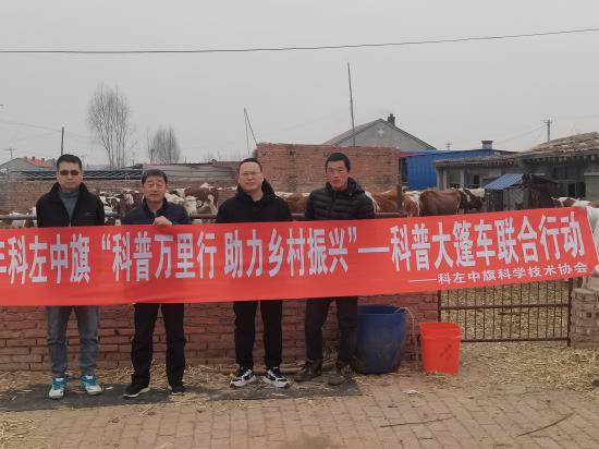 图片一