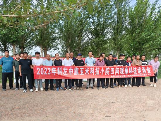 图片三