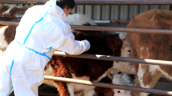 ba5d47a192696c264a8bc00489b3e58