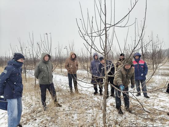 3e197f82227b56732d20c8a2b905e76