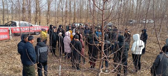 9a46ee900acdcd39677910a708b24b7