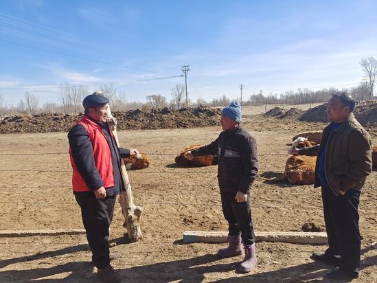 52fd15869ae169b762480f4f52df9b9