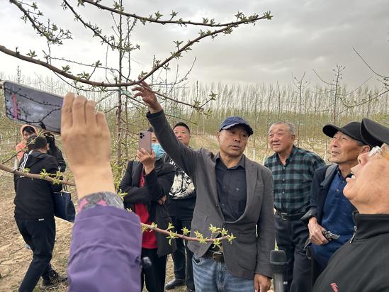 ef921b228fefa13875f834ae0d40798