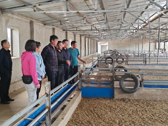 58594a749f69f7389e1319c12887e87