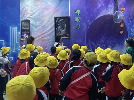 cd15b95f1adf2d279ff9cd0e8018819