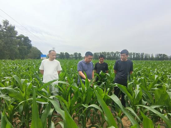 cd9d882a401a0fbf085cbb4c1e90dc9