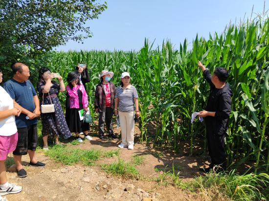 乌日根塔拉农场二分场3