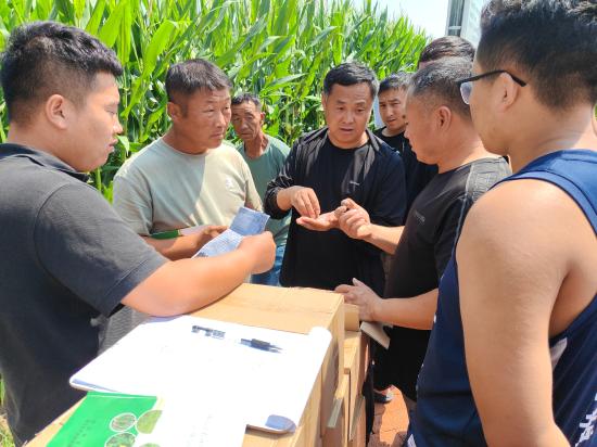 乌日根塔拉农场二分场（赤眼蜂蜂球）