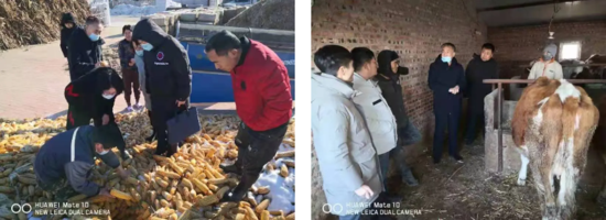 图片6