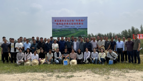 三点举措推动“冬黑麦+”复种模式扎根科尔沁沙地