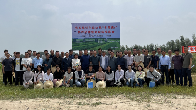 三点举措推动“冬黑麦+”复种模式扎根科尔沁沙地