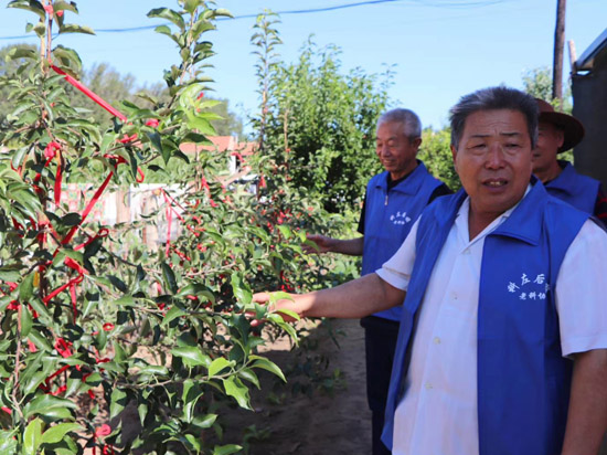 1597734288477733.jpg c7160b90ee4864b5e05613f86b587a0.jpg